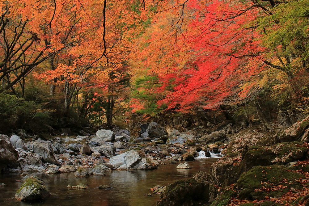 絶景 小田深山渓谷（内子町） @hayato.shibutani