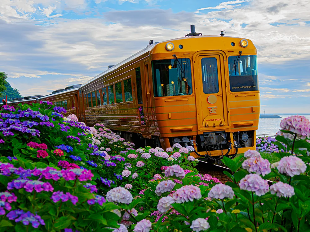 @kazu.fuku.11 伊予灘ものがたり､紫陽花ロードを駆ける