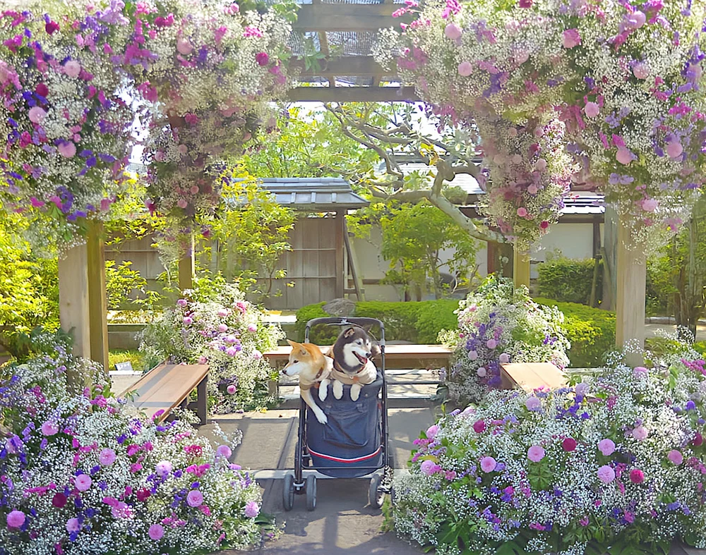 @kubrider 二の丸史跡庭園（松山市）