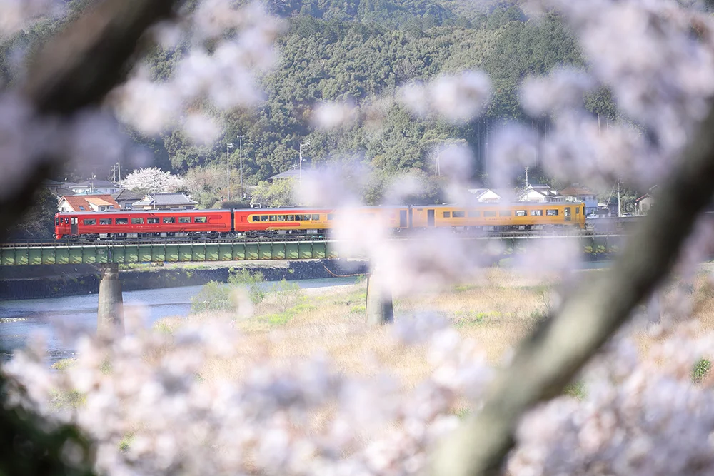 @ahayanabe 肱川を渡る伊予灘ものがたり（大洲市）