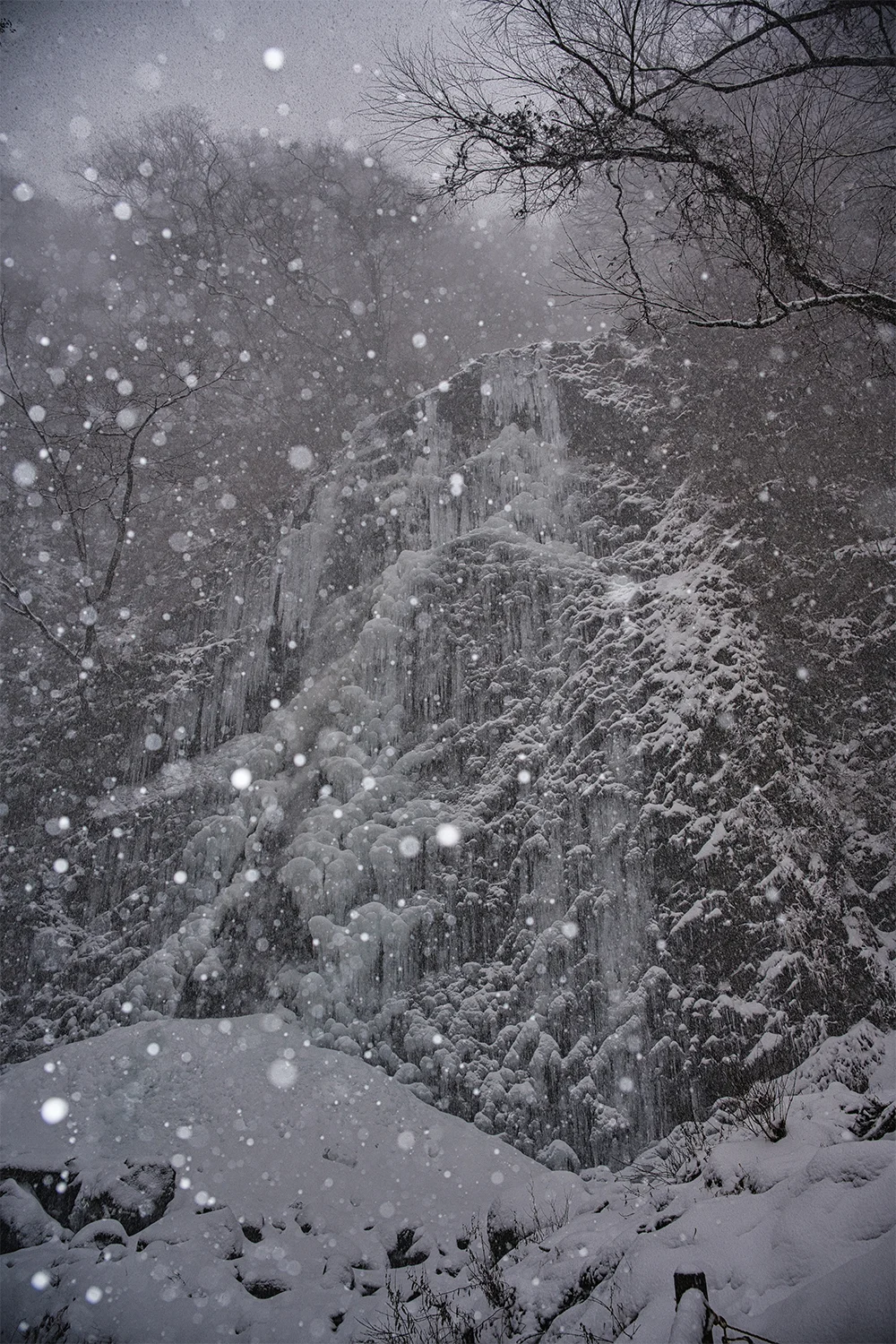 @hiroshi320d 白猪の滝 氷瀑と雪のアート（東温市）