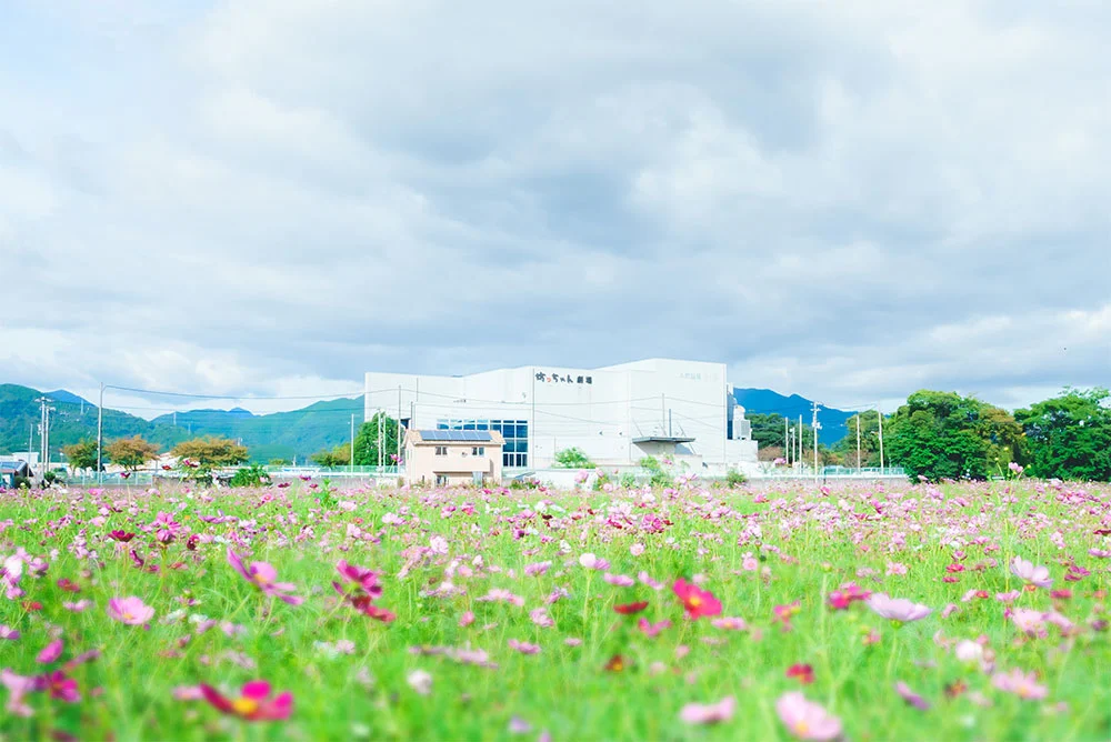 坊っちゃん劇場