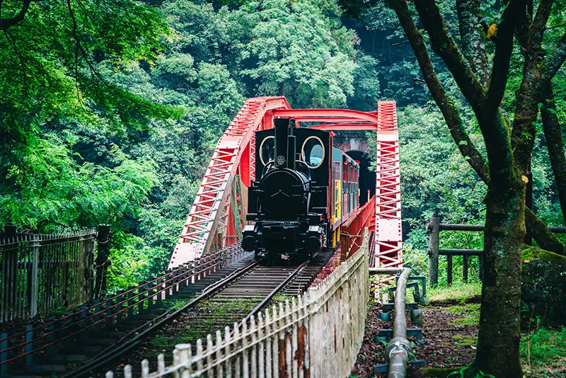 観光坑道へ向かう名物のトロッコ列車