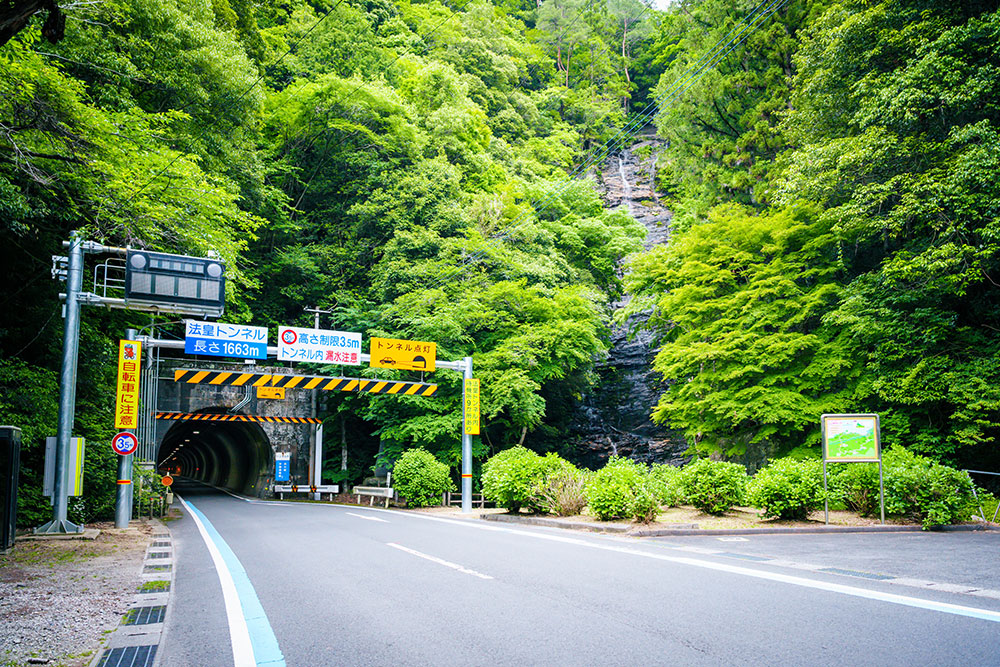 暑い夏は、涼やかな憩い場になります