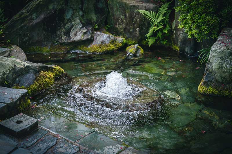 西条の名水「うちぬき」 その1。美しい水の都。