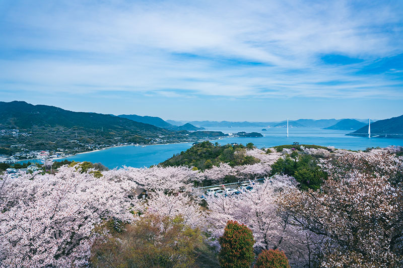 しまなみ海道を一望するスポット。春には桜の絶景が広がる。